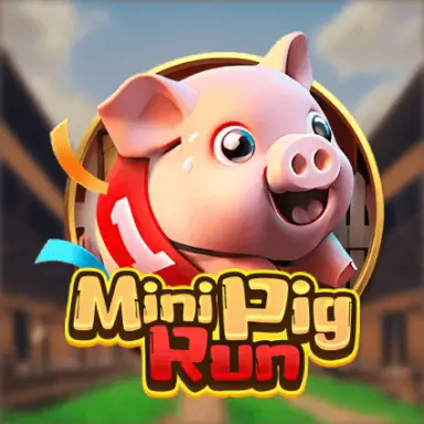 NC88 Mini Pig Run
