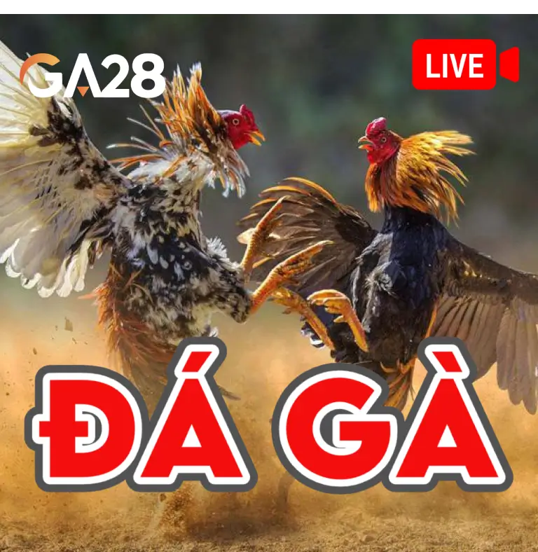 NC88 Đá Gà GA28