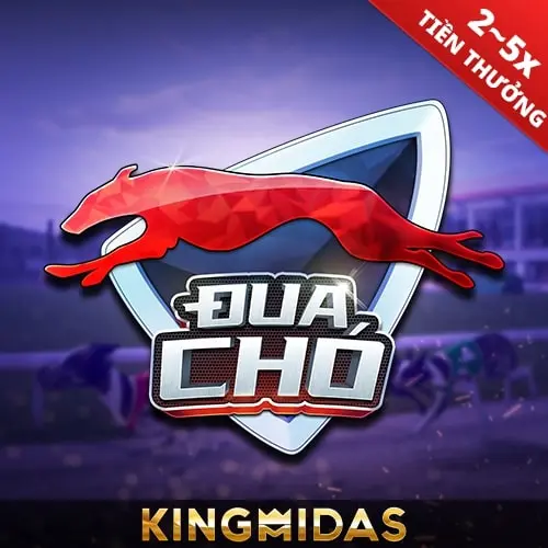 NC88 KM Virtual Hound Racing