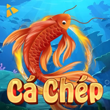 NC88 Cá Chép Hóa Rồng