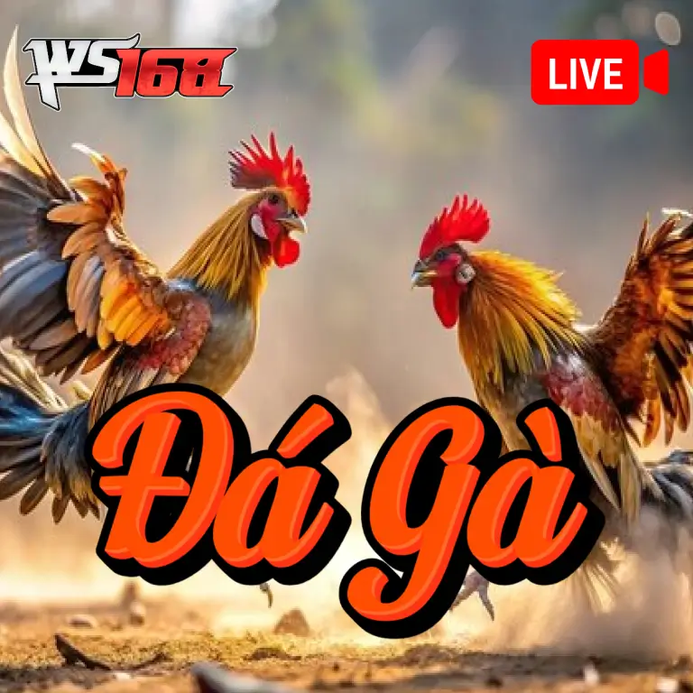 NC88 Đá Gà WS168