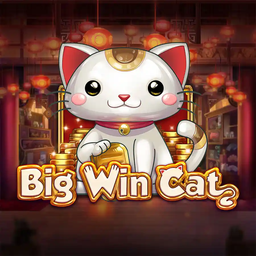 NC88 Big Win Cat